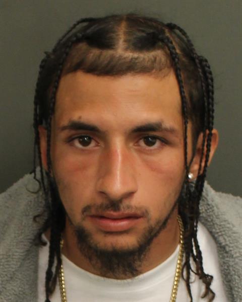  JOSEPH TYLER NEMECECK Mugshot / County Arrests / Orange County Arrests