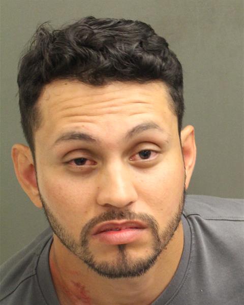  AFONSO HENRIQUE GONCALVESDEAZEVEDO Mugshot / County Arrests / Orange County Arrests