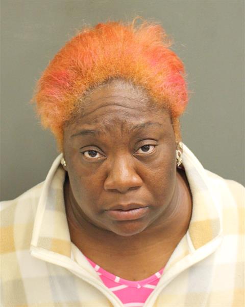  TECKEA RESHANDA AKINS Mugshot / County Arrests / Orange County Arrests