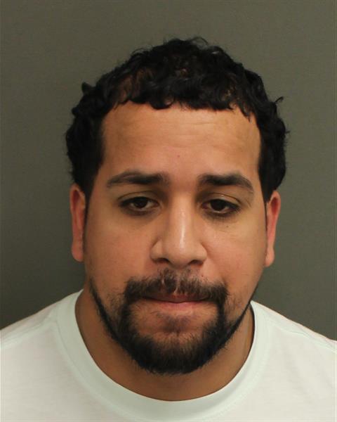  MARIO LUISJR TORRES Mugshot / County Arrests / Orange County Arrests