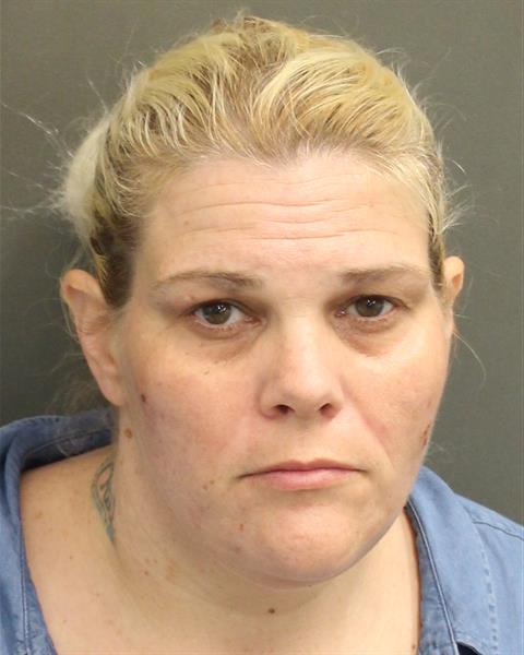  TINA MARIE HUSSAIN Mugshot / County Arrests / Orange County Arrests