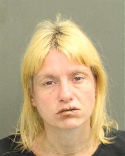  ASHLEY NICOLE DELAWDER Photo Image