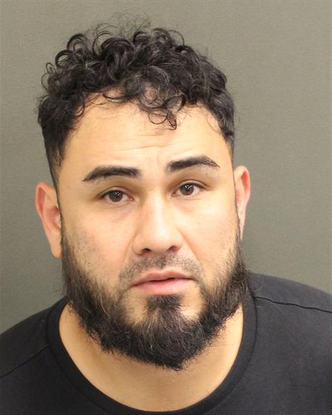  ROY A AFANADORFALLA Mugshot / County Arrests / Orange County Arrests