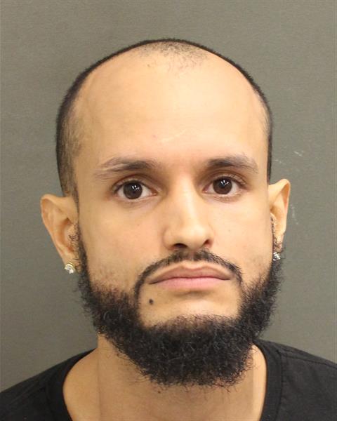  LUIS ENRIQUE CANABAL Mugshot / County Arrests / Orange County Arrests