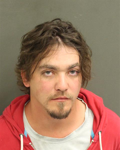  HADYN BROWN POLK Mugshot / County Arrests / Orange County Arrests
