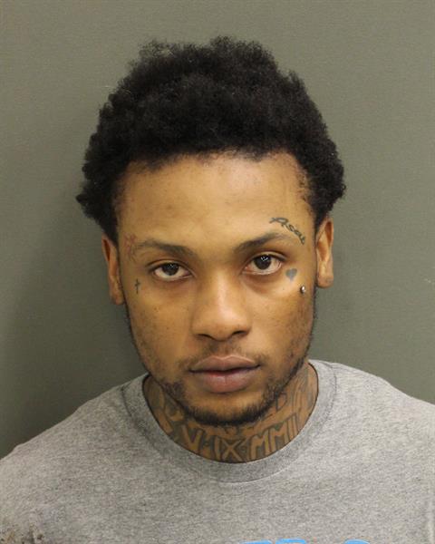  ERVIN LEE GREEN Mugshot / County Arrests / Orange County Arrests