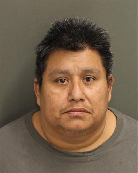  ORLANDO REMEDIOS ANDAVERDE Mugshot / County Arrests / Orange County Arrests