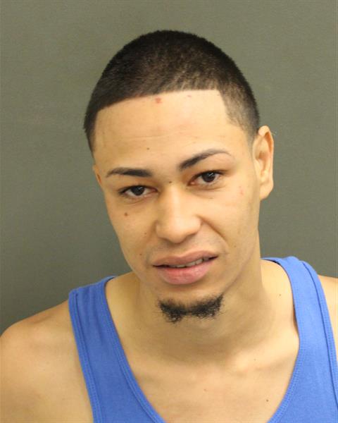 RONAL THENROSARIO Mugshot RONAL THENROSARIO Mugshot / County Arrests / Orange County Arrests