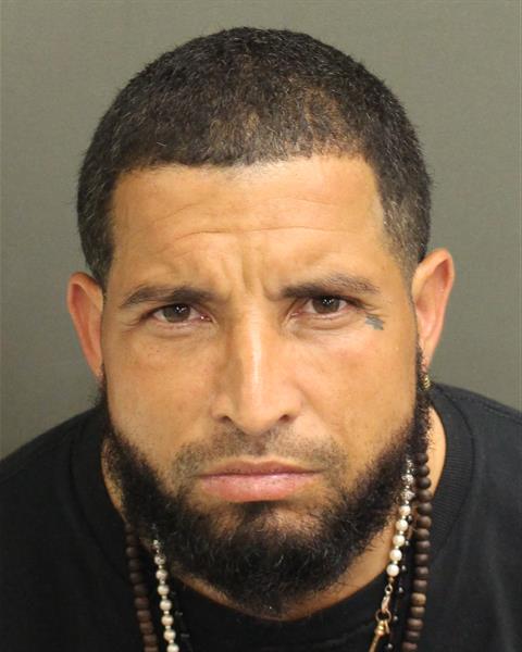  LUIS ANTONIO PAGAN Mugshot / County Arrests / Orange County Arrests