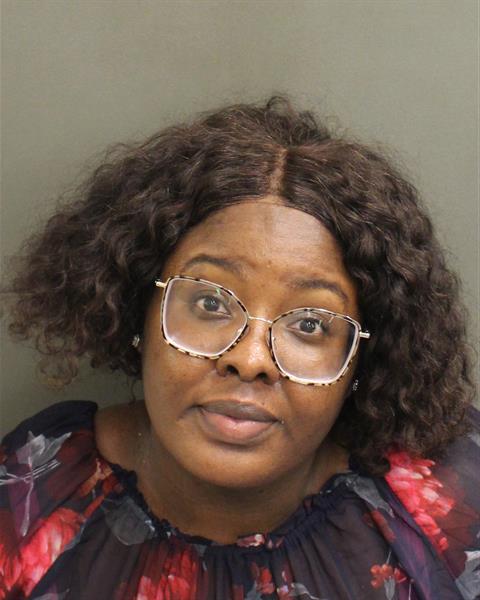  SCHNEILY NELSON Mugshot / County Arrests / Orange County Arrests