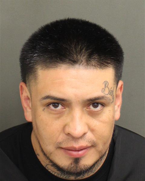  HUGO RAMIREZ Mugshot / County Arrests / Orange County Arrests