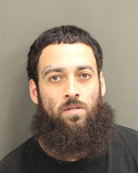  LUIS MERCADO JR EDGARDO Mugshot / County Arrests / Orange County Arrests