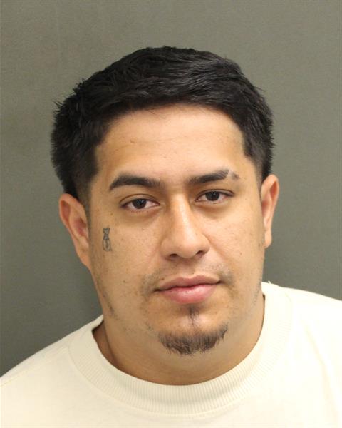  EFREN SALBADOR MERCADO Mugshot / County Arrests / Orange County Arrests
