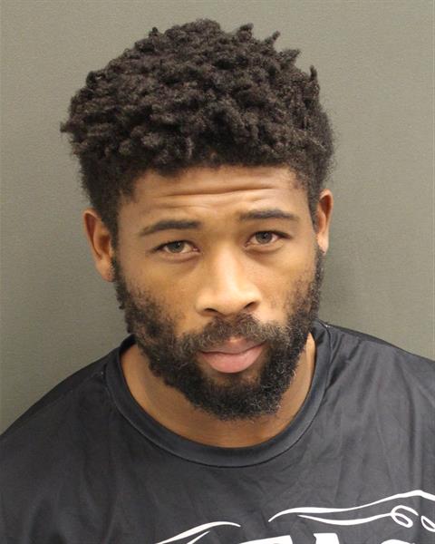  JAMES  IV REESE Mugshot / County Arrests / Orange County Arrests