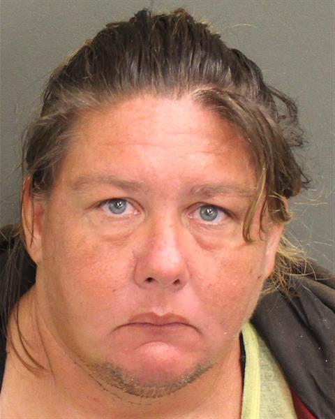 TIFFANY ANNE ANDERSON Mugshot / County Arrests / Orange County Arrests