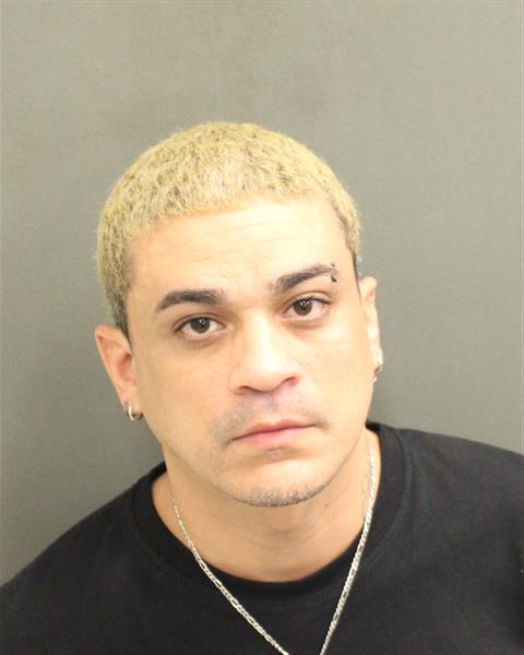  CARLOS BURGOS Mugshot / County Arrests / Orange County Arrests