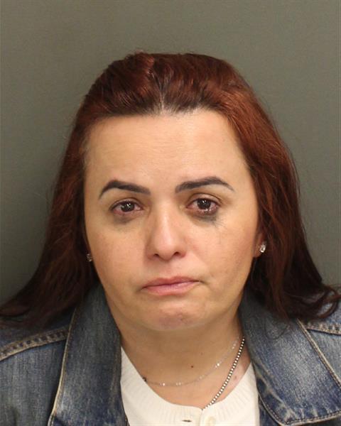 CLAUDIA WONHELDPEDROGOMES Mugshot / County Arrests / Orange County Arrests