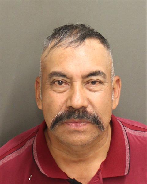 JUAN RUIZ LOAEZA Mugshot JUAN RUIZ LOAEZA Mugshot / County Arrests / Orange County Arrests