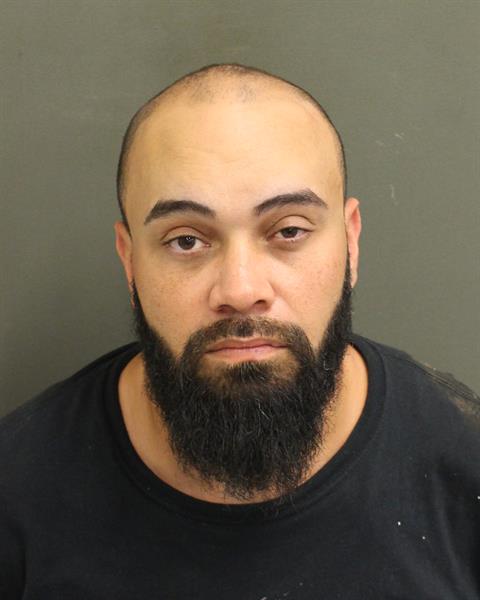 PAUL HARRINGTON Mugshot PAUL HARRINGTON Mugshot / County Arrests / Orange County Arrests