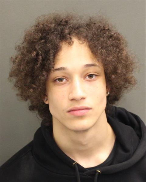  GABRIEL MICHAEL WILLIAMS Mugshot / County Arrests / Orange County Arrests