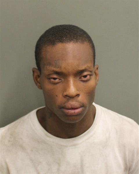  MALIQUE HAM Photo Image