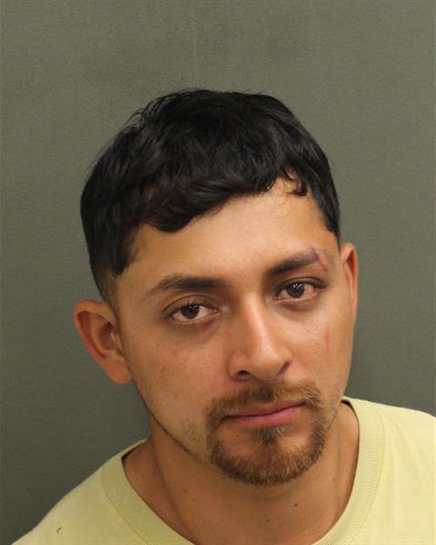  NOE DOMINICIO RAMOS Mugshot / County Arrests / Orange County Arrests