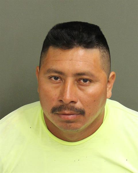  JERSON A VICENTEMEJIA Photo Image