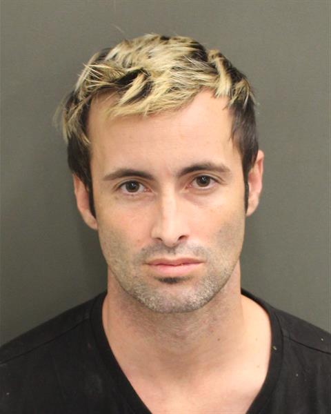  PAUL THOMAS JR HARRIS Mugshot / County Arrests / Orange County Arrests