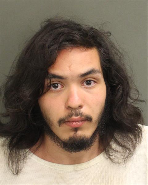LUKE JUNIOR LARSON Mugshot LUKE JUNIOR LARSON Mugshot / County Arrests / Orange County Arrests