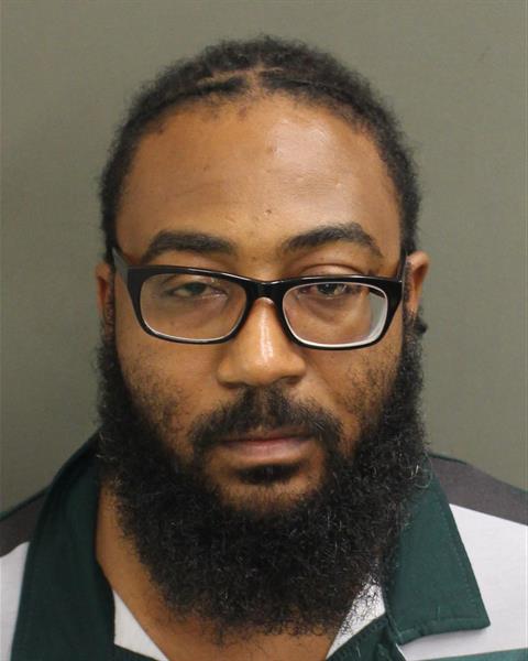  ECHELOT JEUNE Photo Image