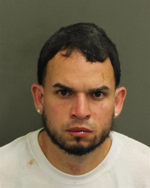  LUIS MIGUEL SANCHEZ Mugshot / County Arrests / Orange County Arrests