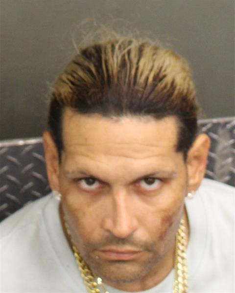  OMAR LUIS ARCAY Mugshot / County Arrests / Orange County Arrests