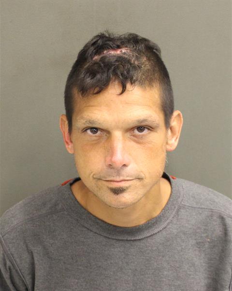  RICHARD OBRIAN RIVERAPAGAN Mugshot / County Arrests / Orange County Arrests