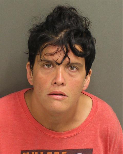  VANESSA SANTIAGO Mugshot / County Arrests / Orange County Arrests