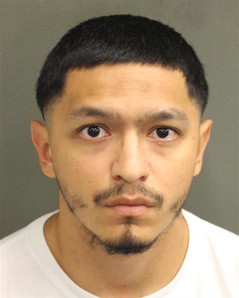  REYNALDO SANCHEZ Mugshot / County Arrests / Orange County Arrests