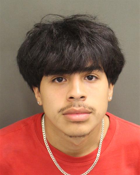  ALONSO JOSE FLORESVEGA Mugshot / County Arrests / Orange County Arrests