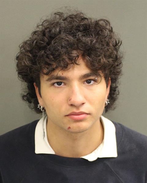  CARLOS ALEJANDRO MARTINEZANGELWETTERE Mugshot / County Arrests / Orange County Arrests