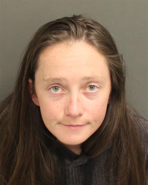  DARBY NOEL SANKOVICH Mugshot / County Arrests / Orange County Arrests