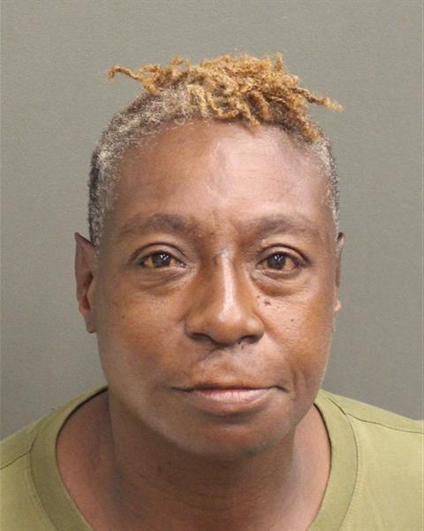  DENISE LENITTE STURGIS Mugshot / County Arrests / Orange County Arrests