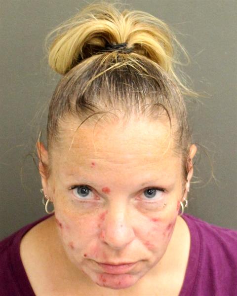  REBECCA JOHNSON Mugshot / County Arrests / Orange County Arrests