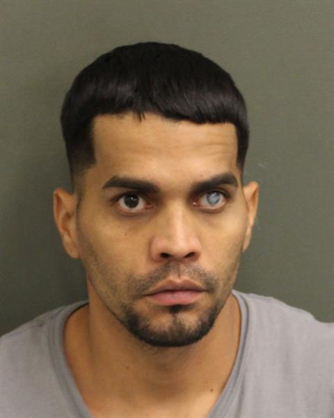  LUIS A MELENDEZ Mugshot / County Arrests / Orange County Arrests