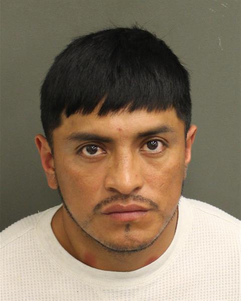  ANDRES PINEDA Photo Image