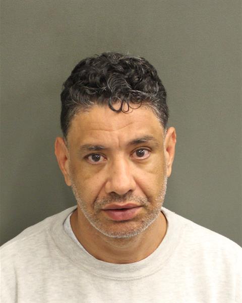  CELIO DEVANI ALVES Mugshot / County Arrests / Orange County Arrests