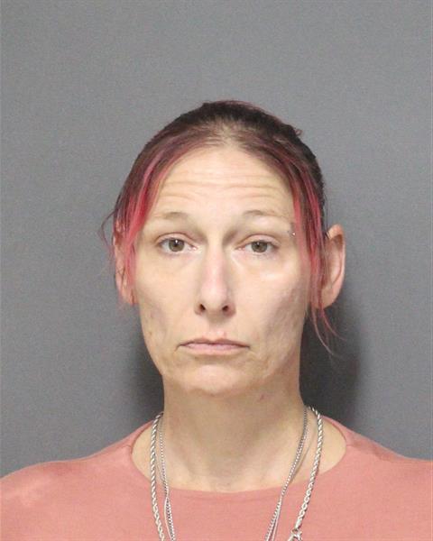 NICOLE LEIGH BLANKENSHIP Mugshot NICOLE LEIGH BLANKENSHIP Mugshot / County Arrests / Orange County Arrests