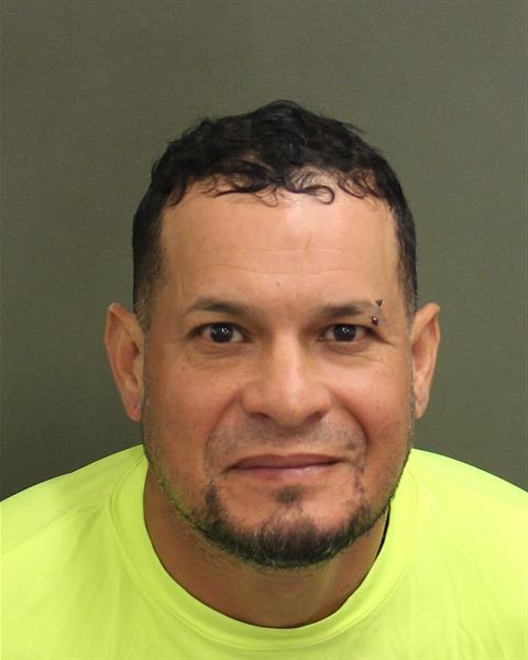  JOSE ANIBAL IRIZARRYPABON Mugshot / County Arrests / Orange County Arrests