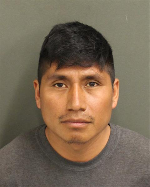  DAVID JOSE PEREZVAZQUEZ Photo Image