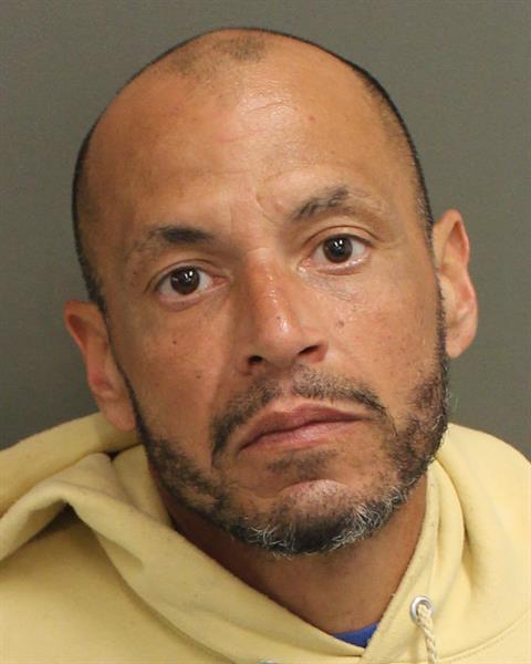  DAVID ROSA Photo Image