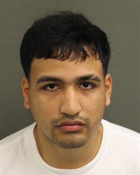  GLEYBER ALEXANDER REGALADOABREU Mugshot / County Arrests / Orange County Arrests