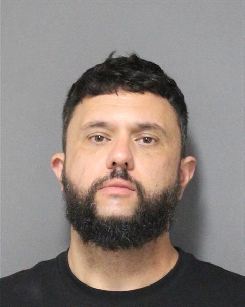  ALEKSANDAR GVOZDIC Mugshot / County Arrests / Orange County Arrests