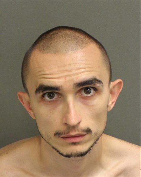  ANDRIY MARKIYANOVIC GREKH Mugshot / County Arrests / Orange County Arrests
